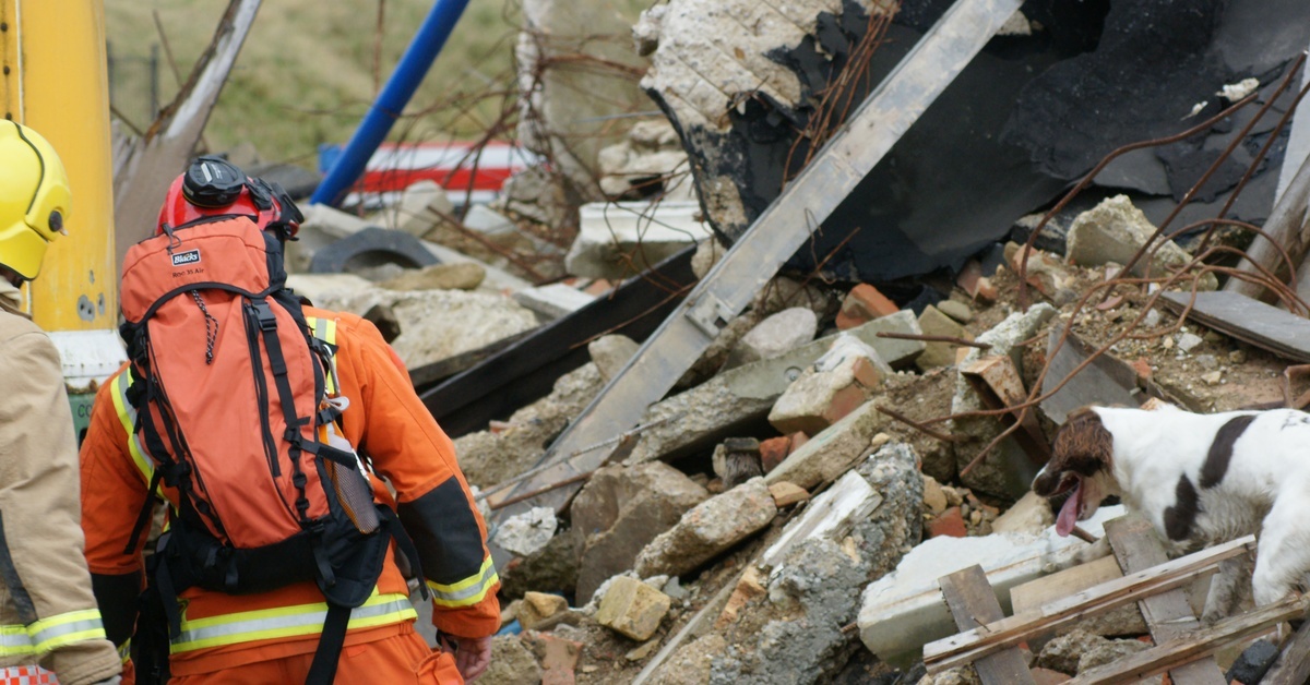 Search and rescue responders in orange gear with a dog searching through rubble at a collapsed disaster site. Search and rescue responders in orange gear with a dog searching through rubble at a collapsed disaster site.